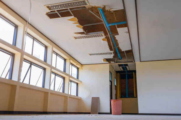 Best Flood restoration services  in Lansford, PA