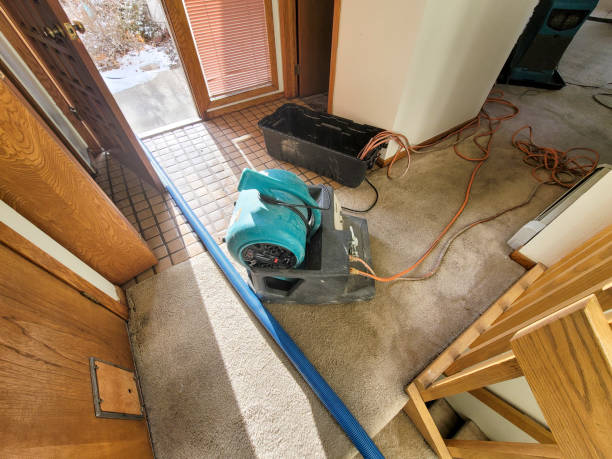 Best Water damage restoration near me  in Lansford, PA