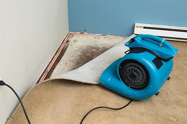 Best Water damage contractors near me  in Lansford, PA